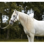 Baro Straightness Training / Lunge Cavesson